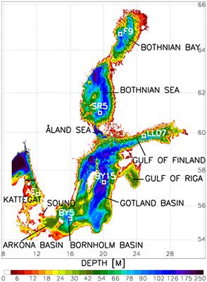 Assessment of Eutrophication Abatement Scenarios for the Baltic Sea by Multi-Model Ensemble Simulations